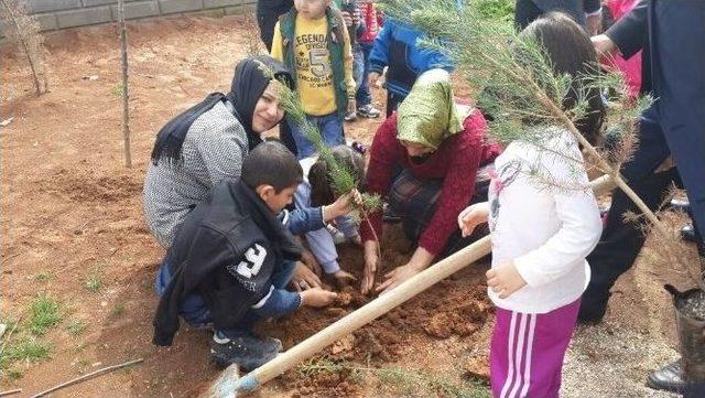 Kızıltepe’de Fidan Dikimi Etkinliği