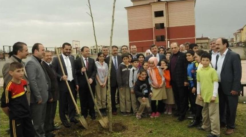 Darıca&rsquo;da Orman Haftası Unutulmadı