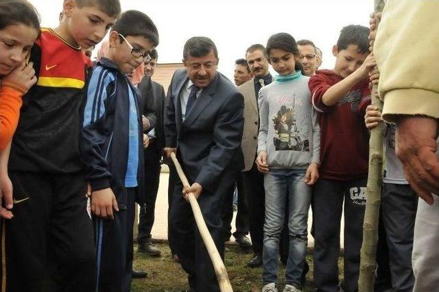 Darıca’da Orman Haftası Unutulmadı