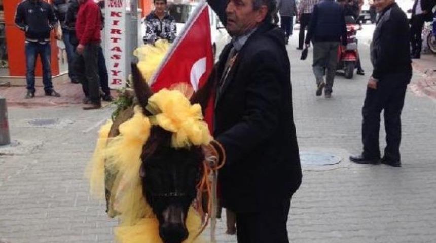Gelin Gibi S&uuml;slediği Eşeğiyle Oy Istedi