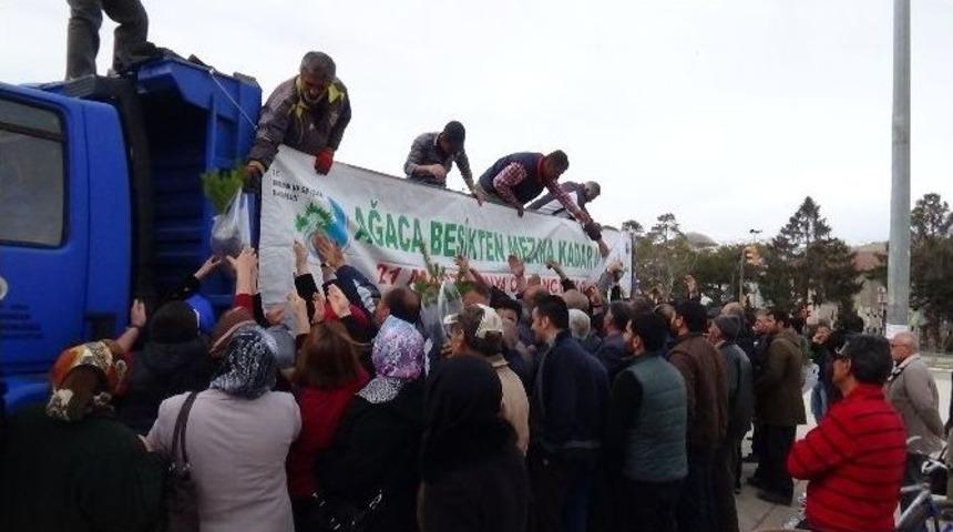 Erzincan&rsquo;da &Ccedil;am Yığılması