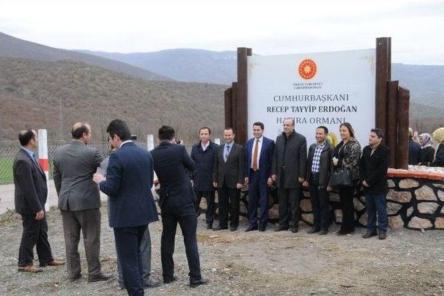 Tokat’ta Cumhurbaşkanı Erdoğan Hatıra Ormanı