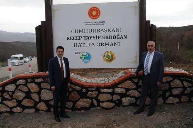 Tokat’ta Cumhurbaşkanı Erdoğan Hatıra Ormanı