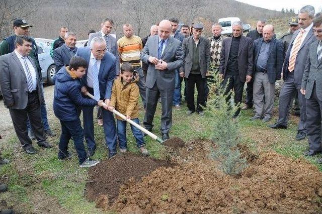 Tokat’ta Cumhurbaşkanı Erdoğan Hatıra Ormanı