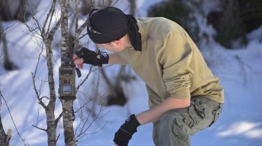 K&uuml;re Dağları&rsquo;nda Yaban Hayatın İzlenmesine Başlandı