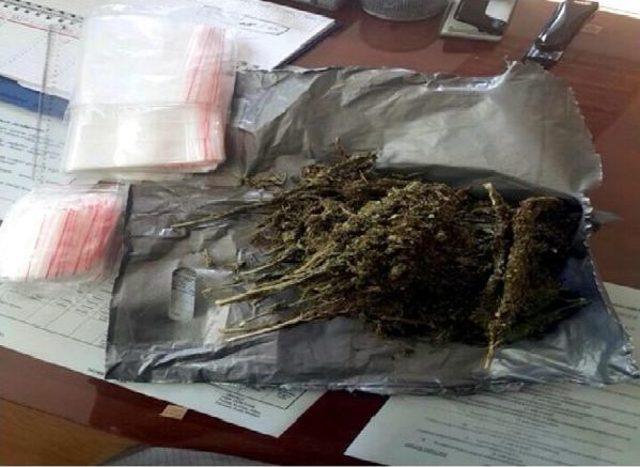 250 Gram Esrarla Yakalanınca Tutuklandı