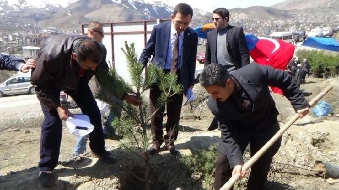 Hakkari&rsquo;de Cumhurbaşkanı Erdoğan Hatıra Ormanı A&ccedil;ıldı