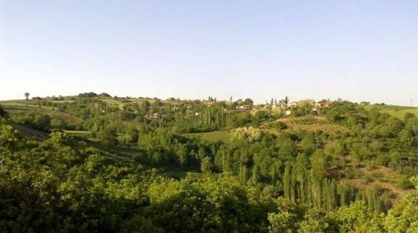 Susuz K&ouml;y&uuml;n Tek &Uuml;midi Buski