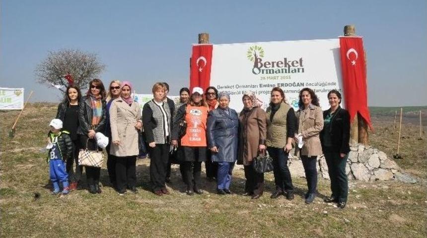 Edirne&rsquo;de Topraklar Bereket Ormanları İle Buluştu