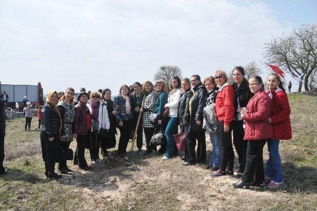 Edirne’de Topraklar Bereket Ormanları İle Buluştu