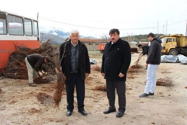 Ekinözü Belediyesi’nden Bağcılığa Destek