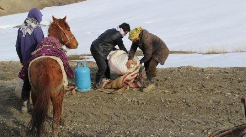 K&ouml;yl&uuml;lerin Yol &Ccedil;ilesi