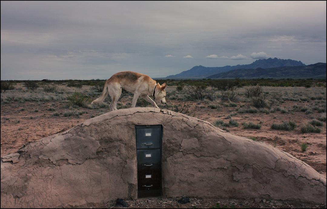 &Ccedil;&ouml;l&uuml;n ortasındaki bu dolabın i&ccedil;inde ne olduğuna inanamayacaksınız