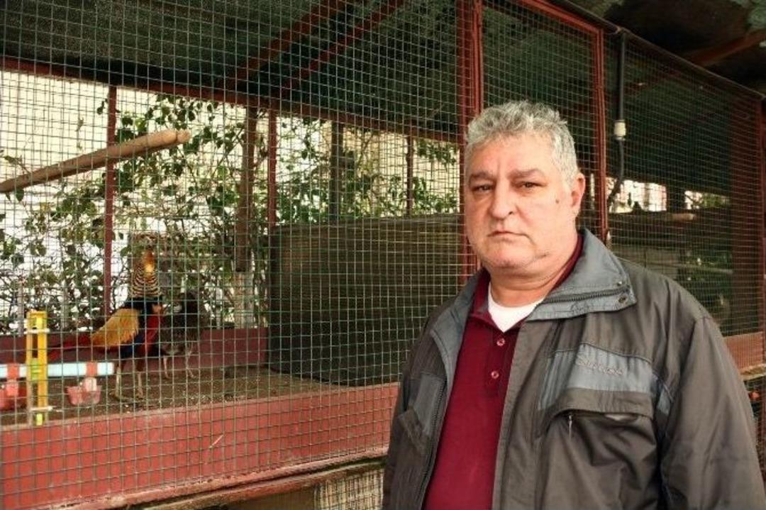 Taksi Durağını Kuş Cennetine &Ccedil;evirdi