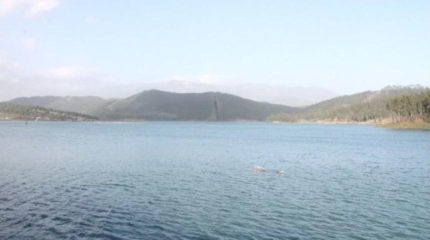 Alakır Barajı Taştı