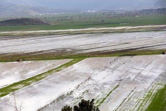 Baraj Taştı, Tarım Arazilerini Su Bastı