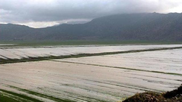 Baraj Taştı, Tarım Arazilerini Su Bastı