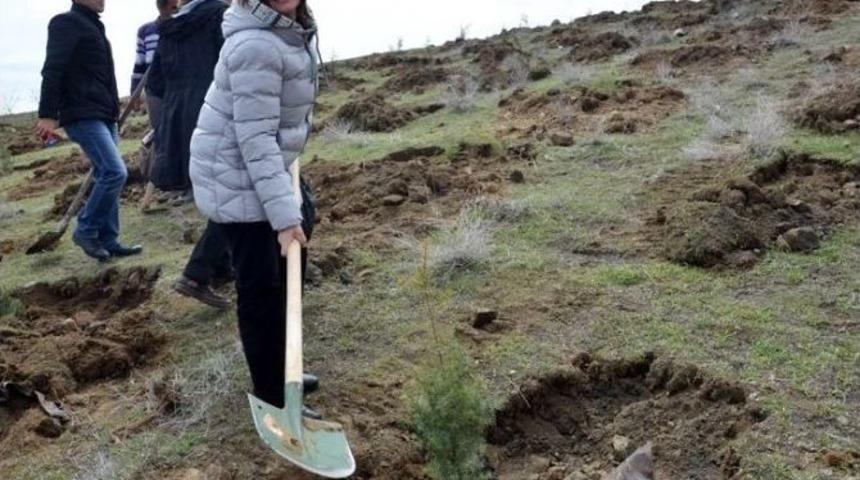 Hatıra Ormanına Fidan Dikildi