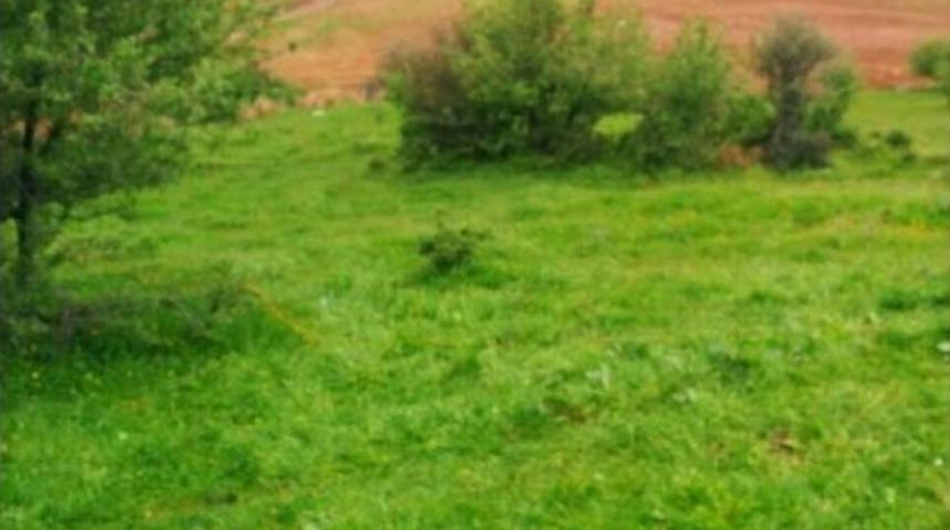 Beydağ'da Silahlı Mera Kavgası: 1 Ölü, 1 Yaralı