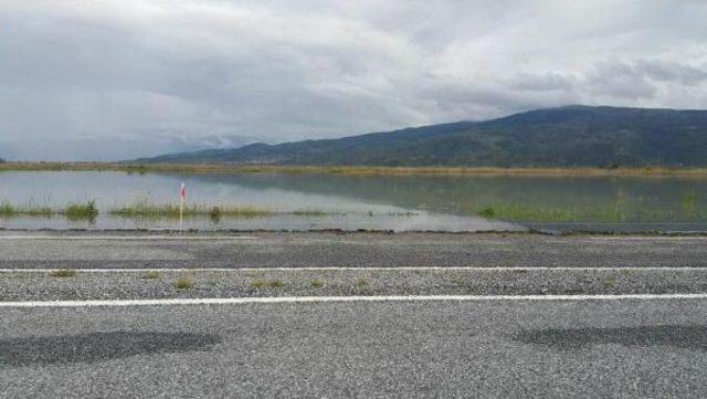 Baraj Kapakları Açıldı, Tarım Arazileri Göle Döndü
