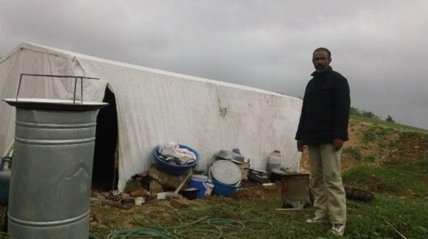 &Ccedil;adırda Yaşam M&uuml;cadelesi