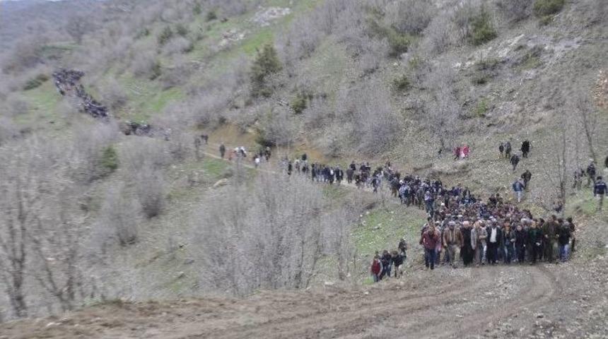 Katırların &Ouml;ld&uuml;r&uuml;lmesine Protesto