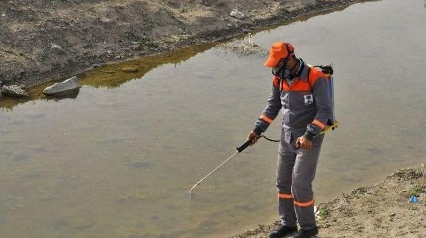 Mamak&rsquo;ta Haşeresiz Yaz