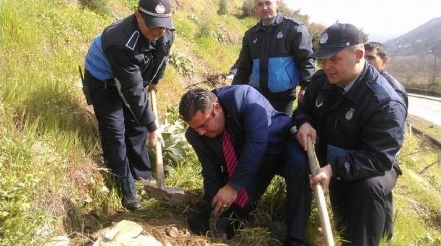 Zabıta&rsquo;dan Yeni Hatıra Ormanı