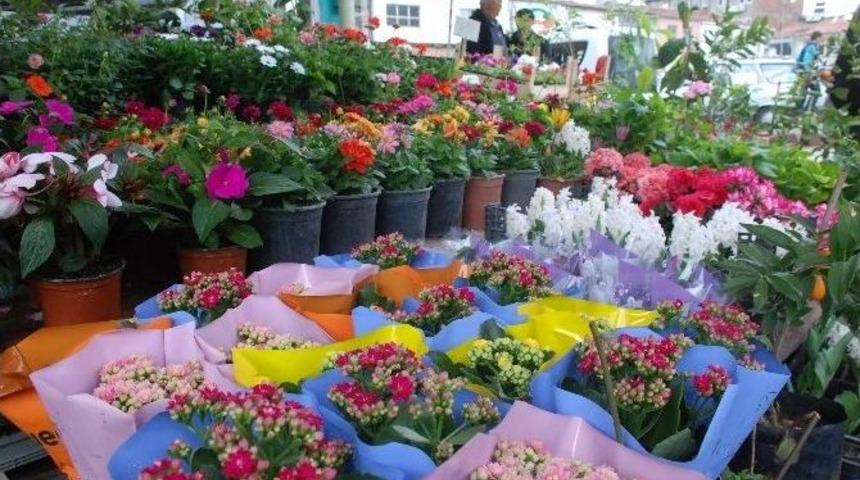 İlkbaharla Birlikte Çiçekler Görücüye Çıktı