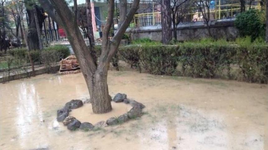 Sağanak Yağış Civcivleri Telef Etti