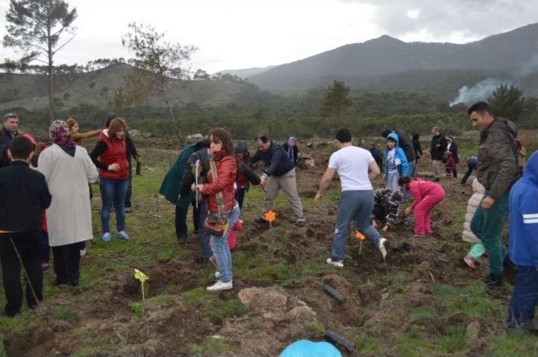 Minik Eller Ağa&ccedil; Dikti