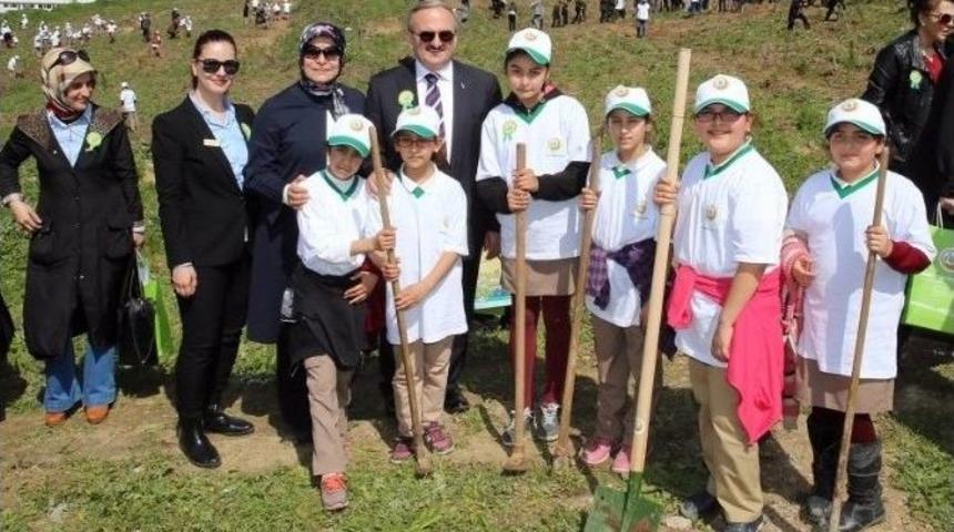 1 G&uuml;nde 16 Bin Fidan