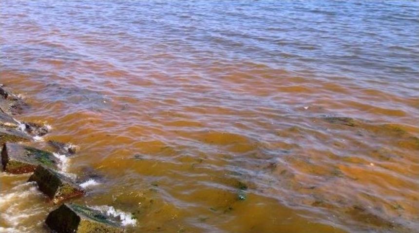 Kıyı Şeridi Kızıla D&ouml;nd&uuml;