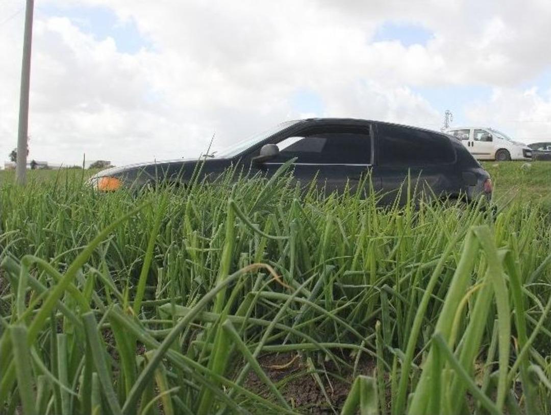 "cana" Geleceğine "soğana" Gelsin