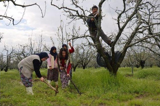 Köylü Kıyafeti Giyip Çiftçilerle Tarlada Çalıştı