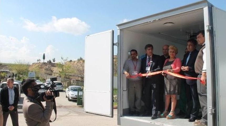 Sokak Hayvanları Yerinde Kısırlaştırılacak