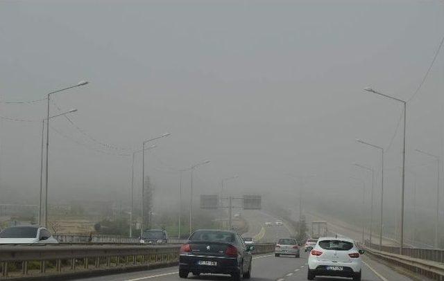 Trabzon’da Yoğun Sis Hava Ve Kara Ulaşımını Olumsuz Yönde Etkiliyor