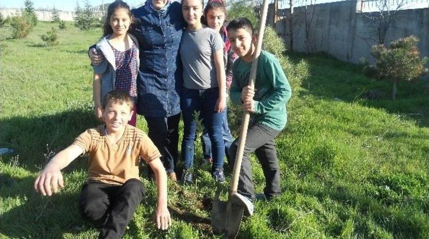 &Ouml;ğrencilere Meyvecilikte Budama &Ouml;ğretildi