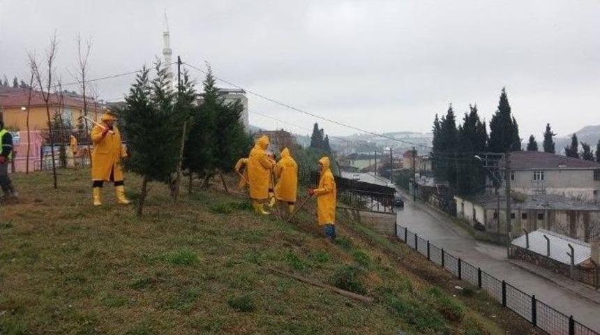 Dilovası&rsquo;nda Ağa&ccedil;landırma &Ccedil;alışmaları Devam Ediyor