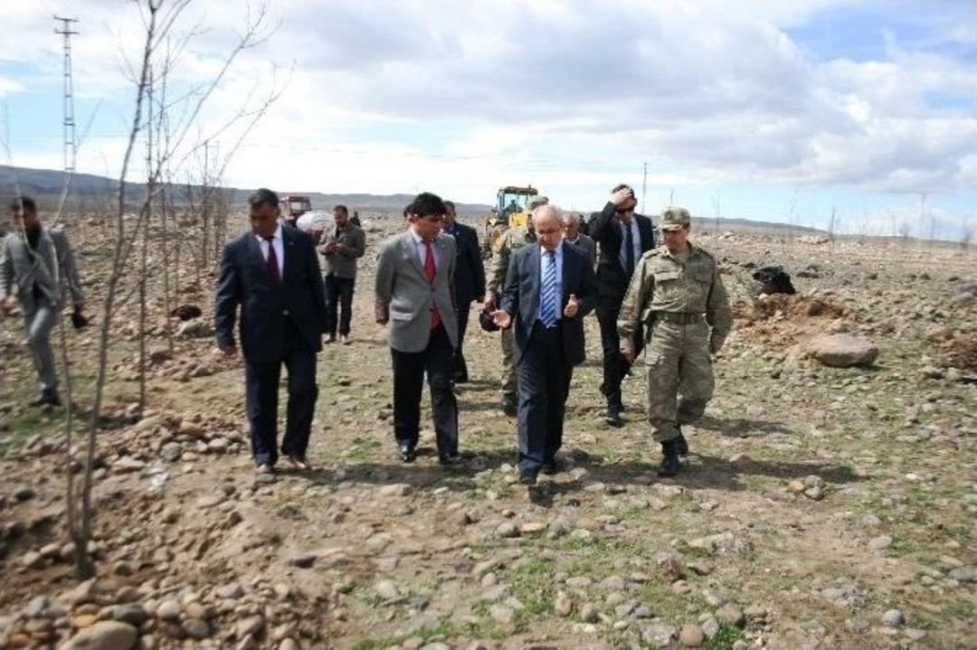 Halfeli Beldesinde Fidan Dikimi