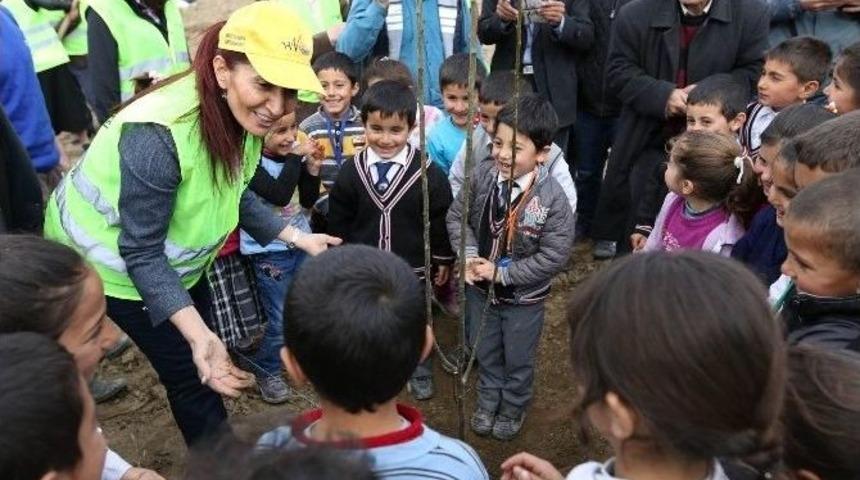 Van&rsquo;da Fidan Dikimi