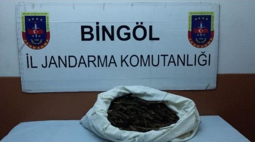Bingöl’de Otomobil İçinde Esrar Ele Geçirildi
