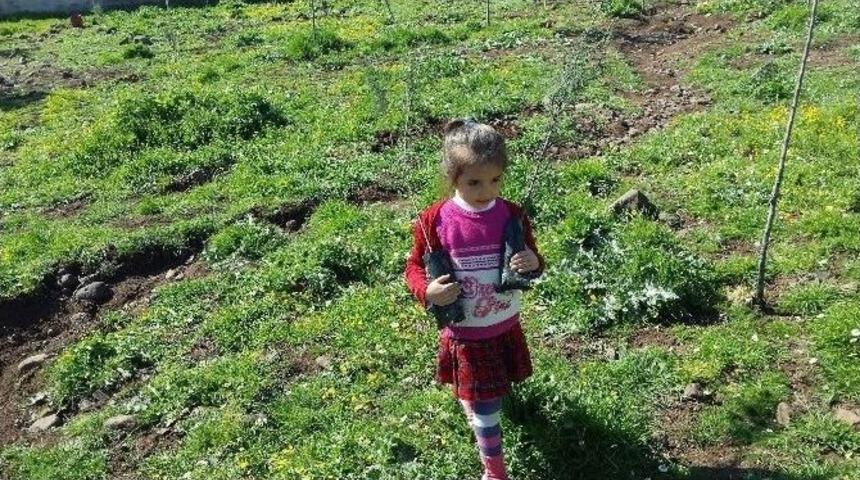 Yeni Bir Fidan Yeni Bir D&uuml;nya