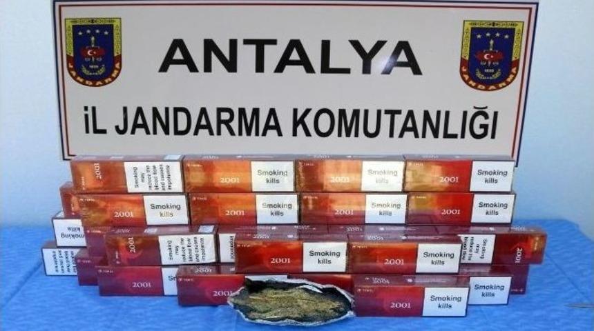 &Ccedil;ıtır&rsquo;ın G&ouml;rev Pozu