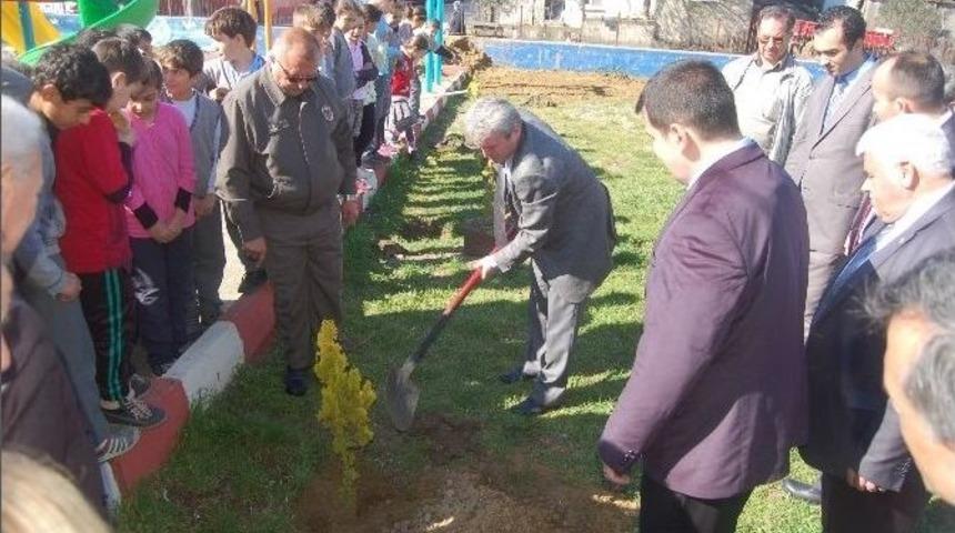 K&uuml;&ccedil;&uuml;k &Ouml;ğrenciler Ağa&ccedil; Dikti