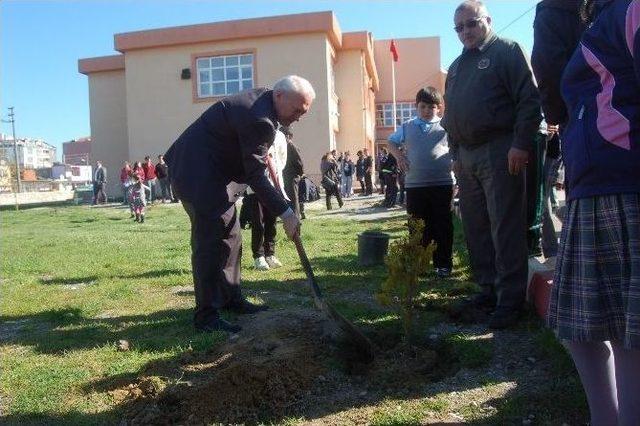 K&uuml;&ccedil;&uuml;k &Ouml;ğrenciler Ağa&ccedil; Dikti 1