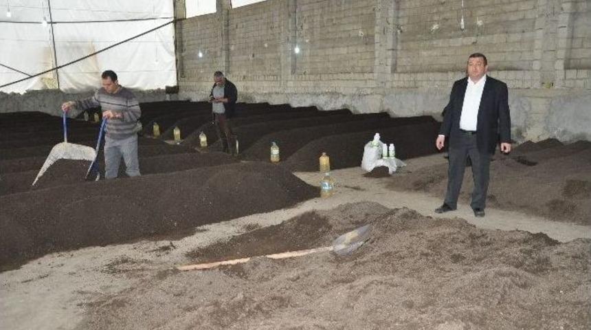 Adanalı &Uuml;&ccedil; Girişimci Solucandan Organik G&uuml;bre &Uuml;retiyor
