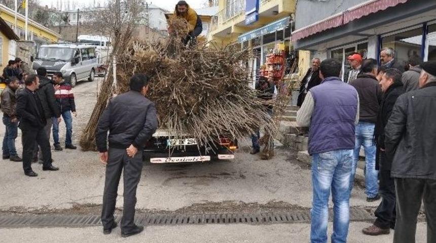 Bursa&rsquo;dan Tunceli&rsquo;ye 8 Bin Fidan
