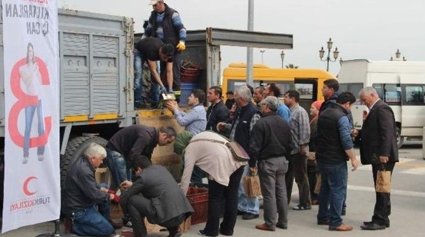T&uuml;rk Kızılayı Orta Karadeniz Kan Merkezi 5 Bin Fidan Dağıttı