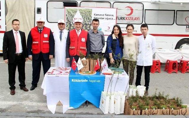 Türk Kızılayı Orta Karadeniz Kan Merkezi 5 Bin Fidan Dağıttı